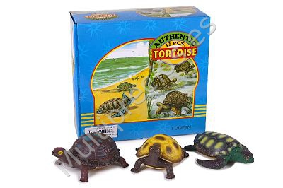 ANIMALES TORTUGAS EXP.12 (0)